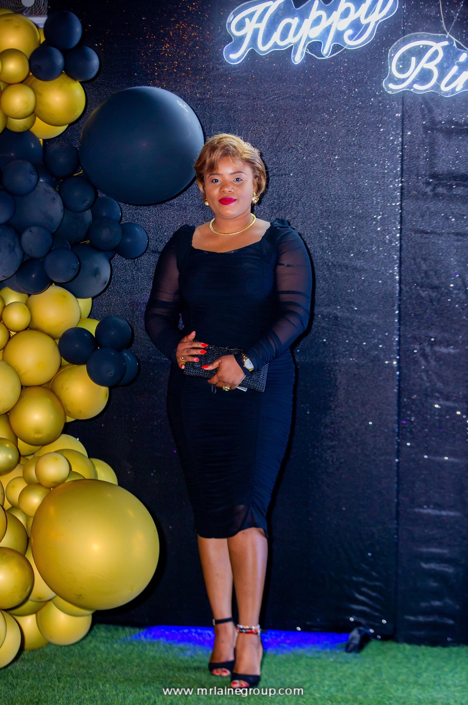 Portfolio MR Laine Group